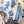 Peter Dunham + Hudson Grace Blue Fez and Shani, Cocktail Napkins Set of 50